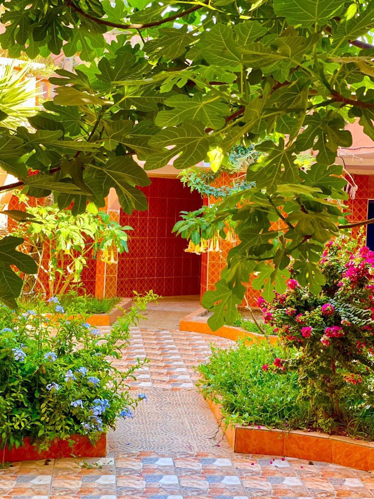 Surf & Salsa Ocean House Bed & Breakfast Tamraght Exterior photo